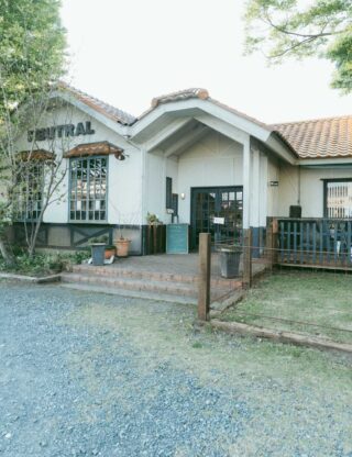 image_neutral-193